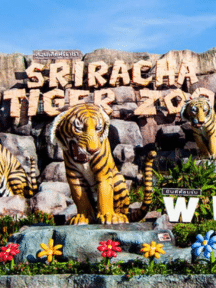 Tiger Topia Sriracha Zoo